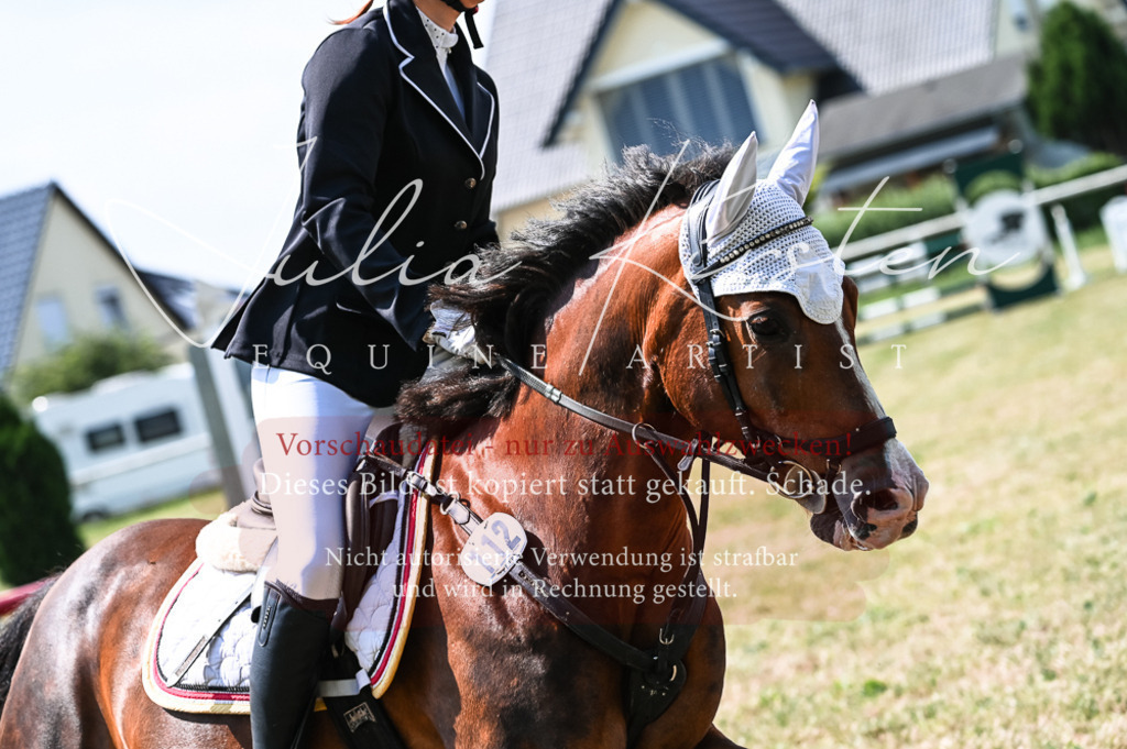 DSC_8657 | Pferde- und Turnierfotografie in Westsachsen. Pferdeportraits, Auftragszeichnungen und intuitive Kunst.
