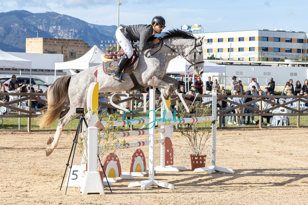 IMG_7816 | s-jay-photography - Realisiert mit Pictrs.com