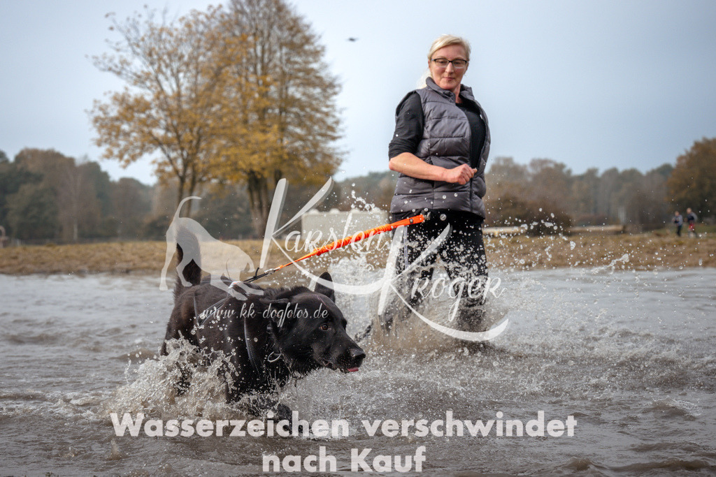 1114_ZZ93479 | kk-dogfotos