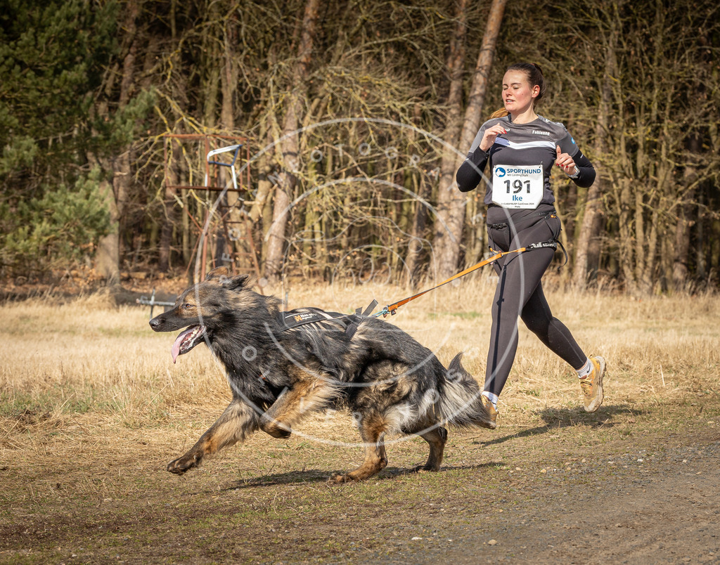 DV3A5758 | Hundefotografie, Tierfotograf, Pfotenfotografie, Fotoshooting Hund, Hunde Portrait, Hundesport, Hundeportraits, Heideshooting, Hunde, Sportfotograf, Hundefotograf, Turnierhundsport, THS,  - Realisiert mit Pictrs.com