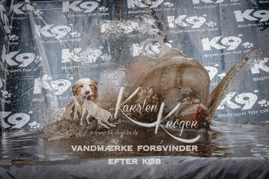 1215_ZZ94840 | kk-dogfotos