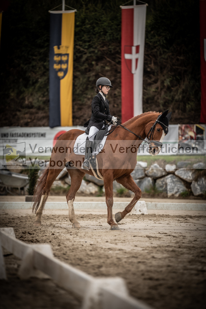 DSC_0207 | equestrian-live-com