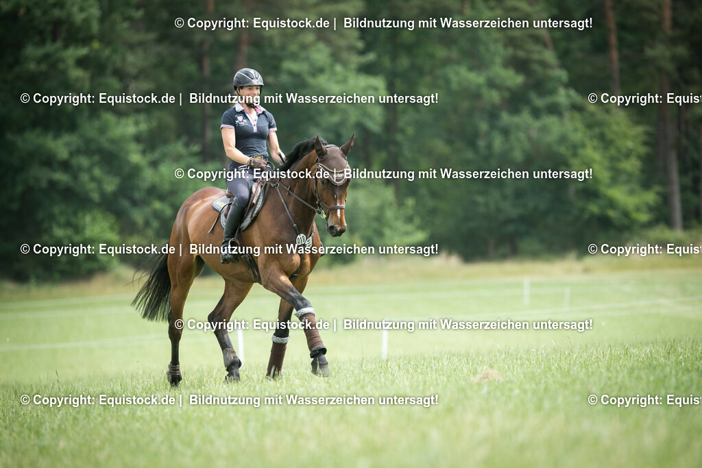 TS_20180615_Julia_Mestern_0009 | equistock
