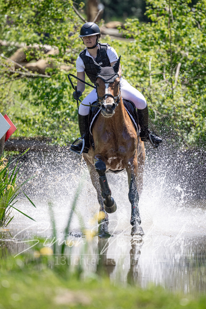 20260523-_3LI8606 | Tierfotografie Pferde, Hunde, Katzen, Haustiere.
Turnierfotografie Reitturniere, Reiten, Springreiten, Dressur in Hanau, dem Main-Kinzig-Kreis und dem Rhein-Main- Gebiet um Frankfurt