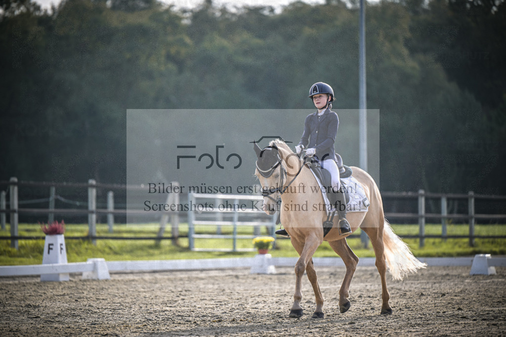 DOS_4901 | Entdecke hochwertige Reitturnierfotos von Foto Oger. Professionell, emotional und authentisch – jetzt Lieblingsmomente im Shop bestellen.Deutschlandweite Turnierfotografie. - Realisiert mit Pictrs.com