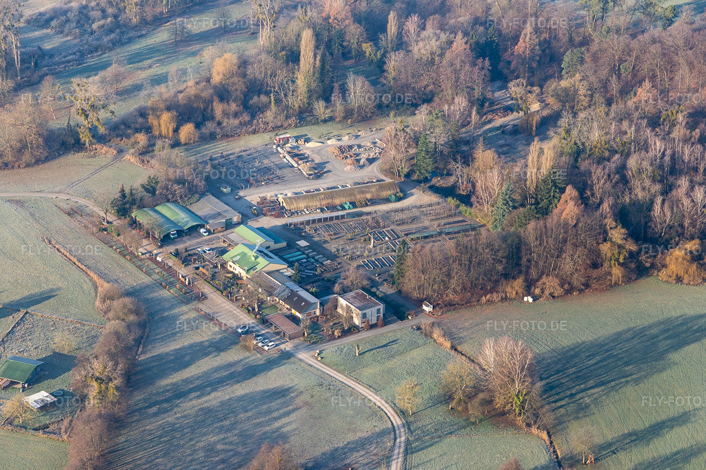 Luftbild: Bienwald Baumschule in Berg im Bundesland Rheinland-Pfalz in Deutschland. Foto: IMG_124037.jpg vom 11.01.2021 durch Werner Riehm/FLY-FOTO.de