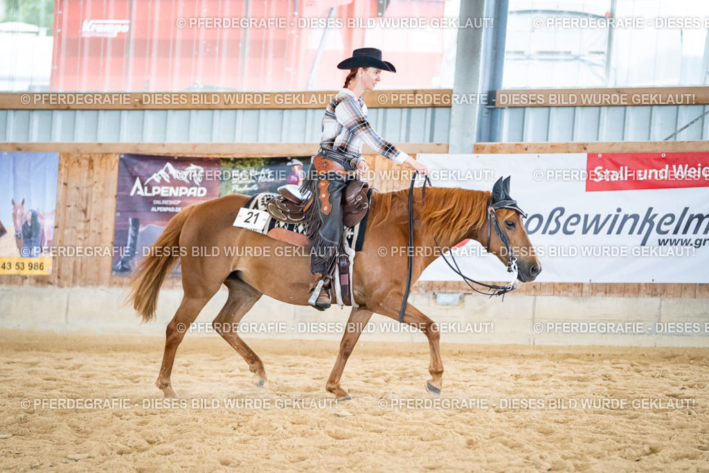 DSC03084 | Pferdegrafie