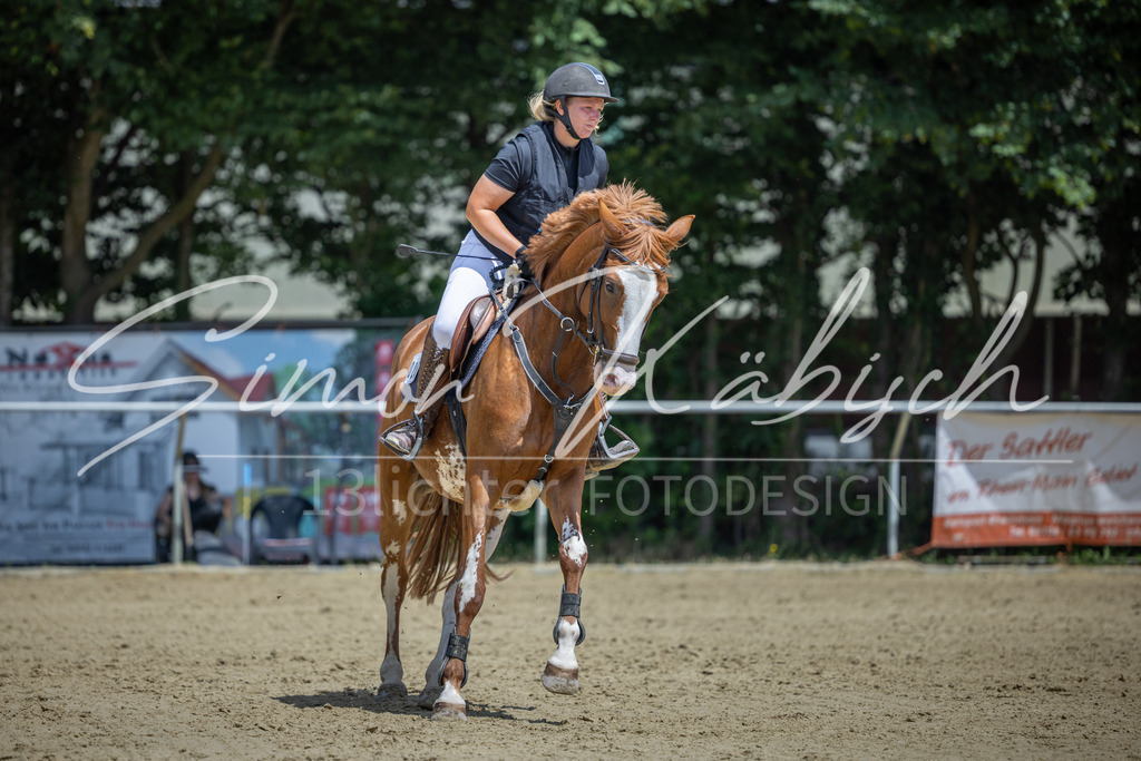 20260704-_3LI9734 | Tierfotografie Pferde, Hunde, Katzen, Haustiere.
Turnierfotografie Reitturniere, Reiten, Springreiten, Dressur in Hanau, dem Main-Kinzig-Kreis und dem Rhein-Main- Gebiet um Frankfurt