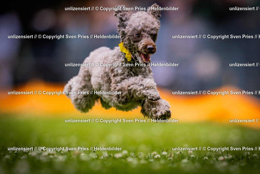 Sven Pries | 2025-05-29 - Pudelrennen KA-Durlach - Realisiert mit Pictrs.com