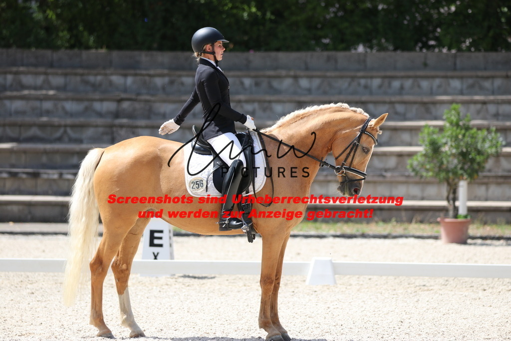 IMG_4642 | lmwpictures - Realisiert mit Pictrs.com