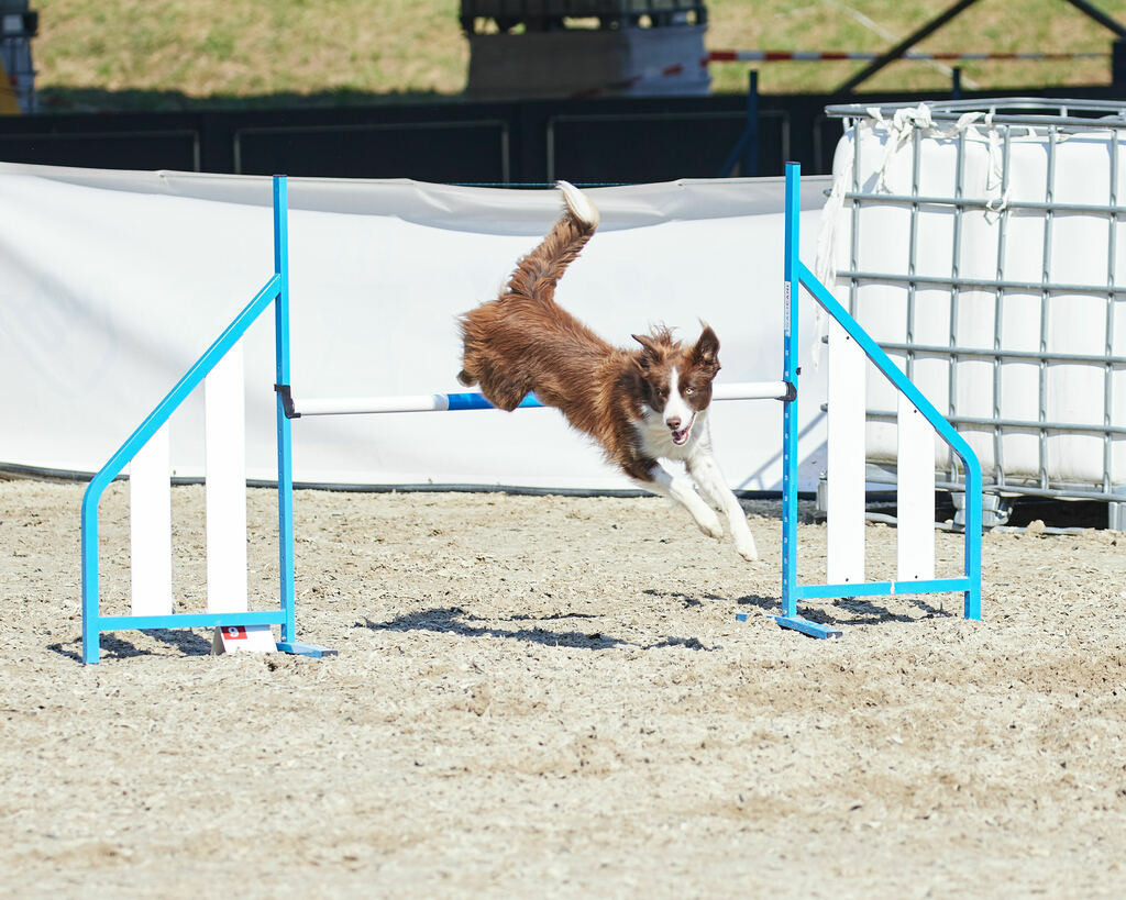 580A0154 | Peter Fridle Fotografie - Realisiert mit Pictrs.com