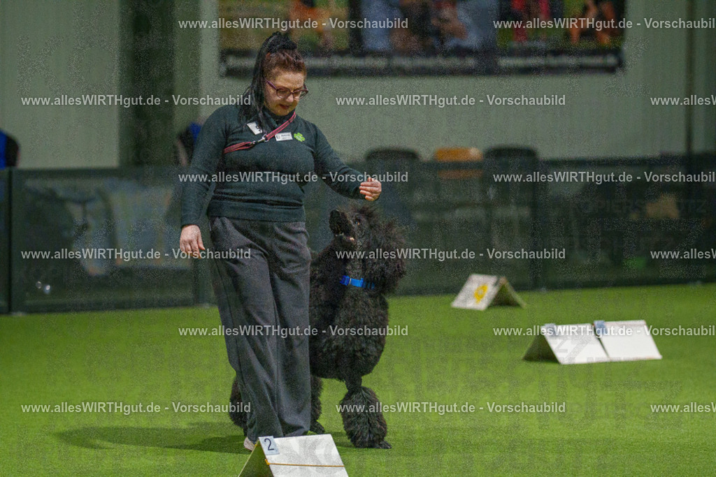 7R508782 | Professionelle Tierfotografie in Mönchengladbach von Daniel Wirth (allesWIRTHgut). Liebevolle & natürliche Bilder von Hunden & Katzen für unvergessliche Erinnerungen.