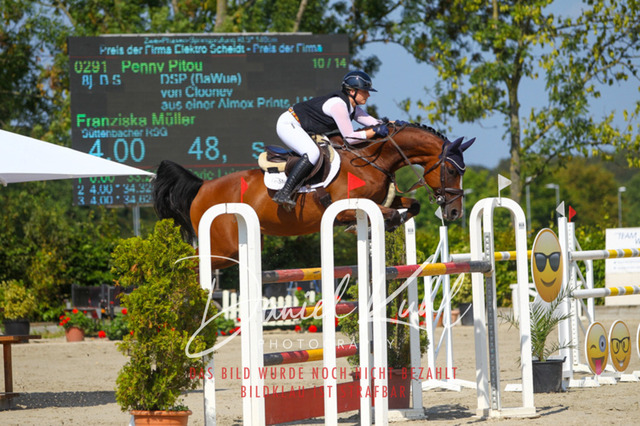 Gut Blee25_Zwei Phasen Springprfg S_0086 | Turniersportfotografie; Pferdefotografie; Dressurfotografie