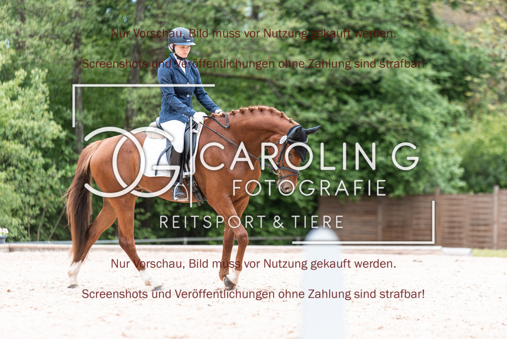 DSC_6901 | Turnierfotografin Carolin Gieschke,Reitsport Turnierfotografie Carolin G Fotografie | Turnierfotos aus Kirchheim/Teck, Esslingen, Stuttgart und dem Bodenseekreis