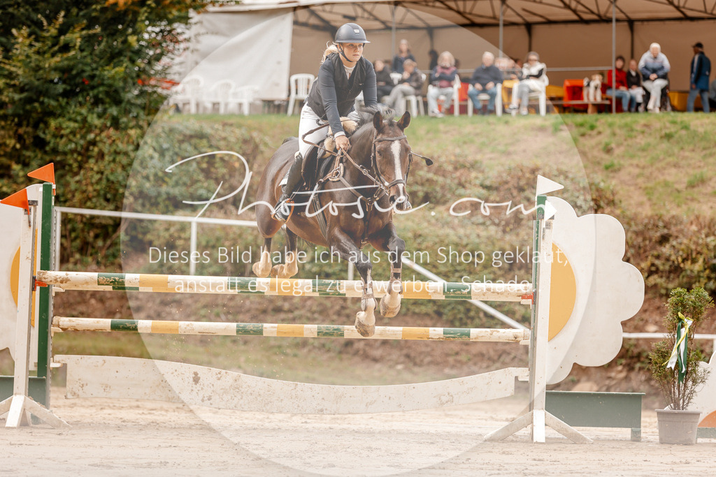 3I6A8072 | Stimmungsvolle Portraits und Reitsportfotografie im Ruhrgebiet und im Münsterland.

Pferdefotografie, Hundefotografie, Tierfotografie, Reportagen, Portraits von Tier und Mensch, Turnierfotografie in Bochum, Recklinghausen, Marl, Haltern am See, Dülmen.. - Realisiert mit Pictrs.com