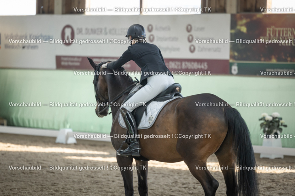 _D5A2958 | Emotionale Pferde- & People-Fotografie rund um Heidelberg, Leimen & Umgebung. Natürliche Fotos von Pferd, Mensch & Familie. Jetzt Termin sichern!