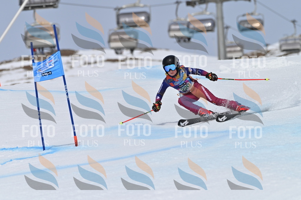 BGV_4305 | holidayphoto