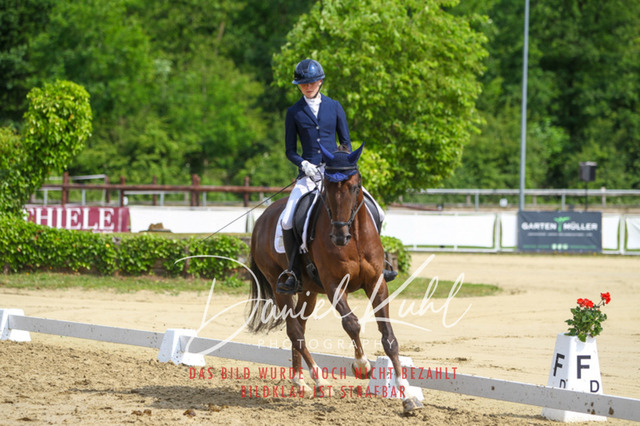 DKP45811 | Turniersportfotografie; Pferdefotografie; Dressurfotografie