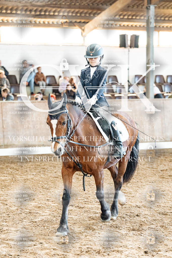 CK900366 | Turnierfotografie Pferdefotografie Trier Rheinland-Pfalz Pferdesport Reitsport Tierfotografie Sportfotografie Pferdevideo Pferdevideografie Equestrianvideography equestrianphotography  - Realisiert mit Pictrs.com