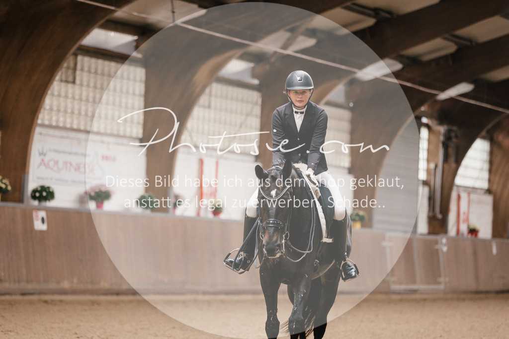 3I6A8168 | Stimmungsvolle Portraits und Reitsportfotografie im Ruhrgebiet und im Münsterland.

Pferdefotografie, Hundefotografie, Tierfotografie, Reportagen, Portraits von Tier und Mensch, Turnierfotografie in Bochum, Recklinghausen, Marl, Haltern am See, Dülmen.. - Realisiert mit Pictrs.com