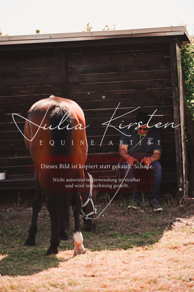 DSC_7333 | Pferde- und Turnierfotografie in Westsachsen. Pferdeportraits, Auftragszeichnungen und intuitive Kunst.