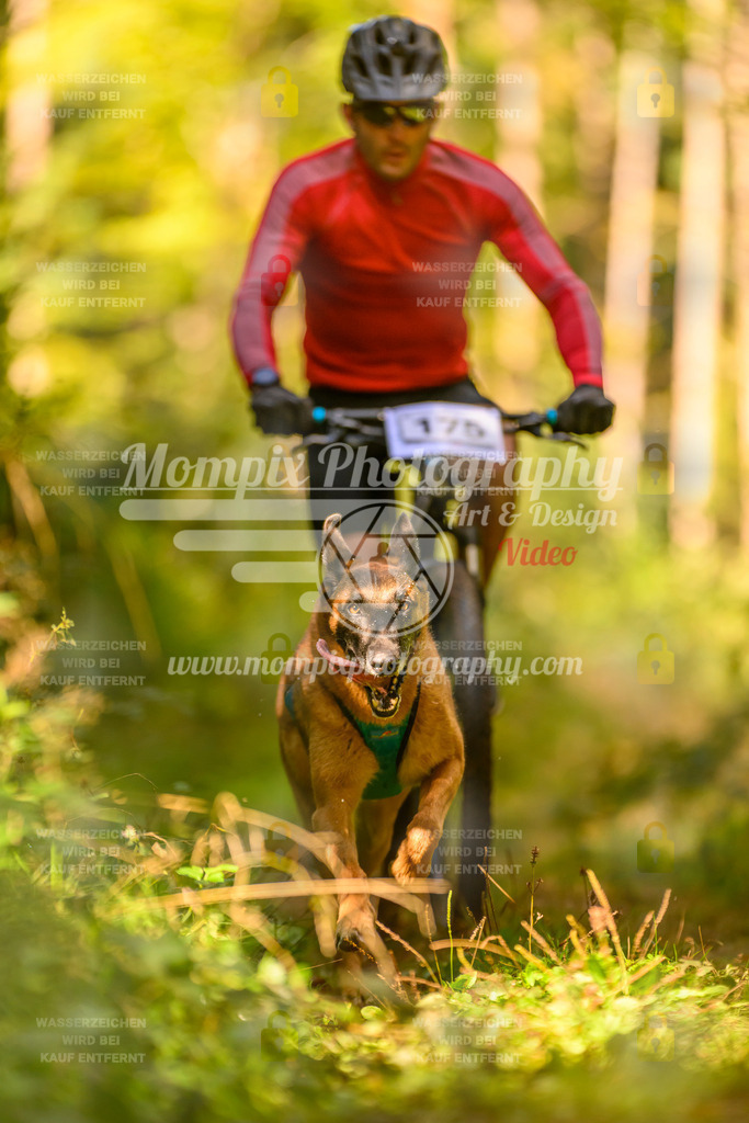 MompixPhotography_Yens2025_B2-88 | PayLife