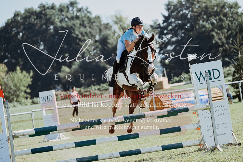 DSC_5464 | Pferde- und Turnierfotografie in Westsachsen. Pferdeportraits, Auftragszeichnungen und intuitive Kunst.