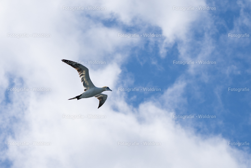 20230815 Isle of Sky - St.Andrews - Dundee-24 | Fotografie Woldron
