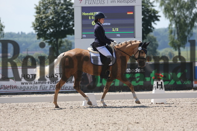 Rot am See_2024_Prfg.Nr.21_Qual.BCH_und_LCH_5-jähr.Ponys_Mona Honold_Erna 65 (3) | Alle Fotos der Reiterjournal Fotografin Doris Matthaes im Reiterjournal Online-Fotoshop. - Realisiert mit Pictrs.com