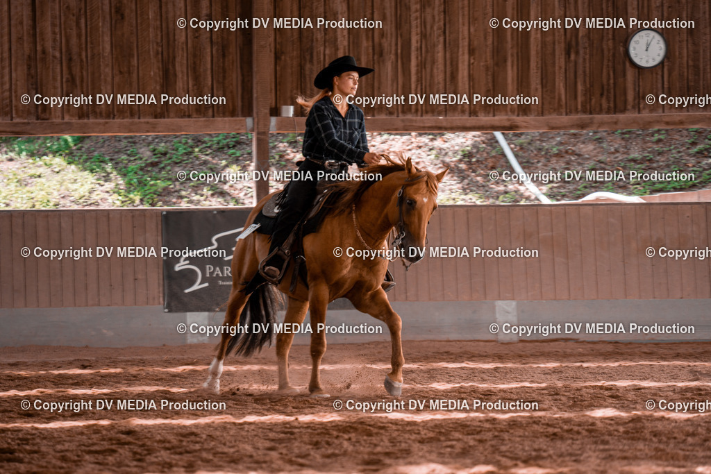 NE100587 | dv-media-shop - Realisiert mit Pictrs.com