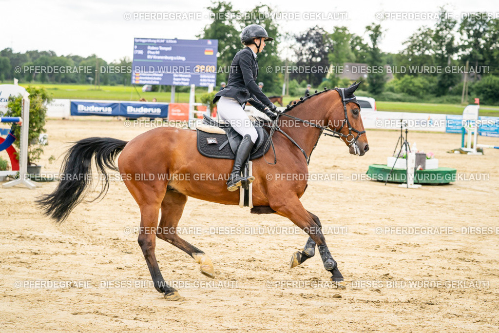 DSC06216 | Pferdegrafie