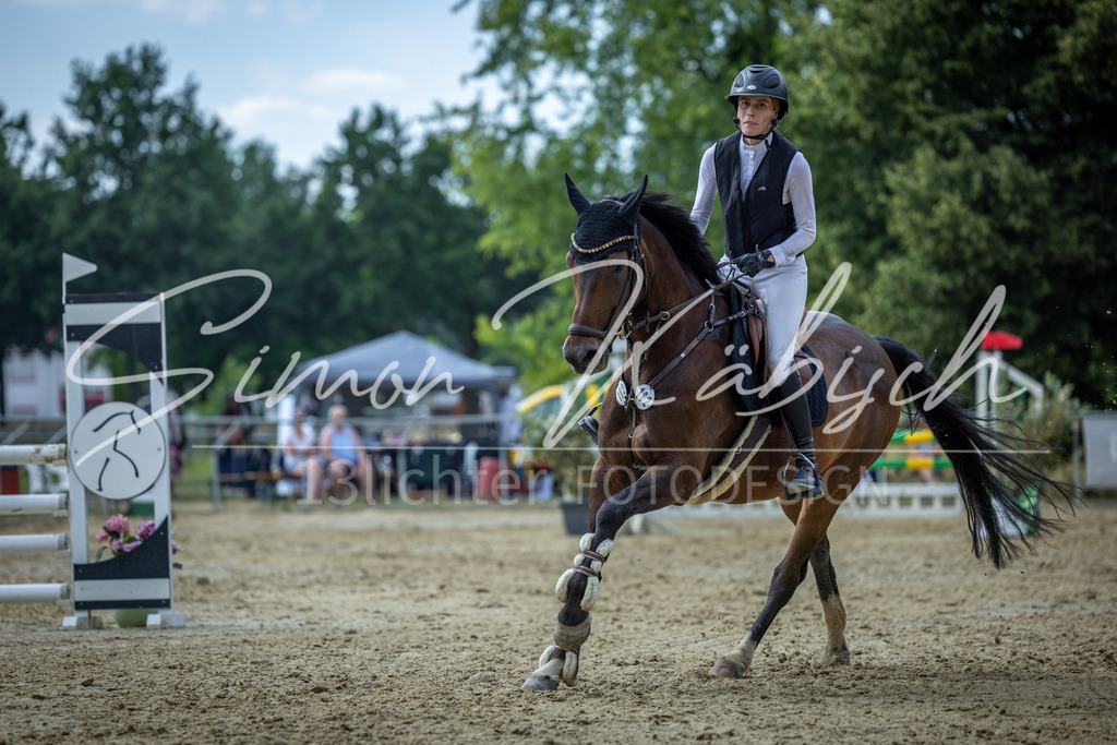 20260704-_3LI1794 | Tierfotografie Pferde, Hunde, Katzen, Haustiere.
Turnierfotografie Reitturniere, Reiten, Springreiten, Dressur in Hanau, dem Main-Kinzig-Kreis und dem Rhein-Main- Gebiet um Frankfurt