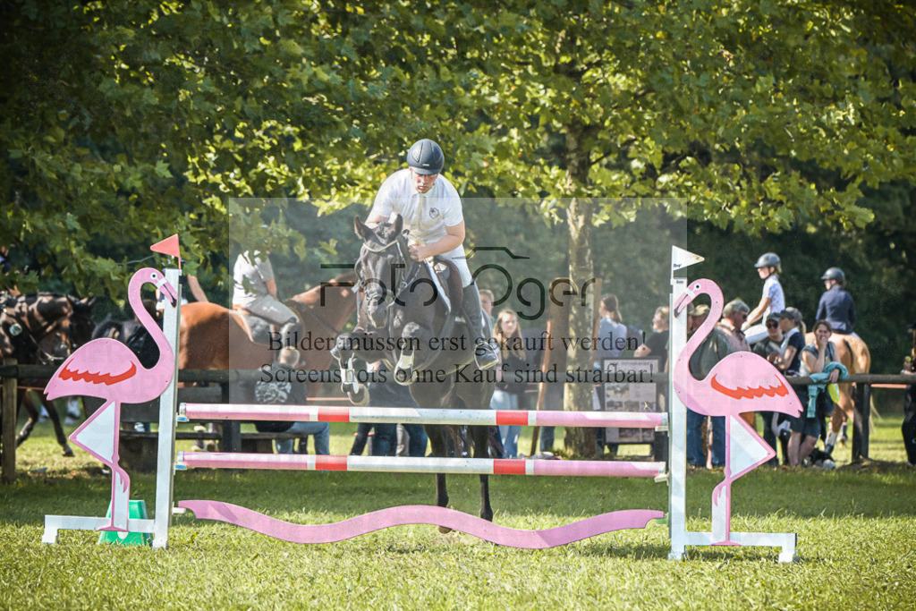 DOS_0643 | Entdecke hochwertige Reitturnierfotos von Foto Oger. Professionell, emotional und authentisch – jetzt Lieblingsmomente im Shop bestellen.Deutschlandweite Turnierfotografie. - Realisiert mit Pictrs.com