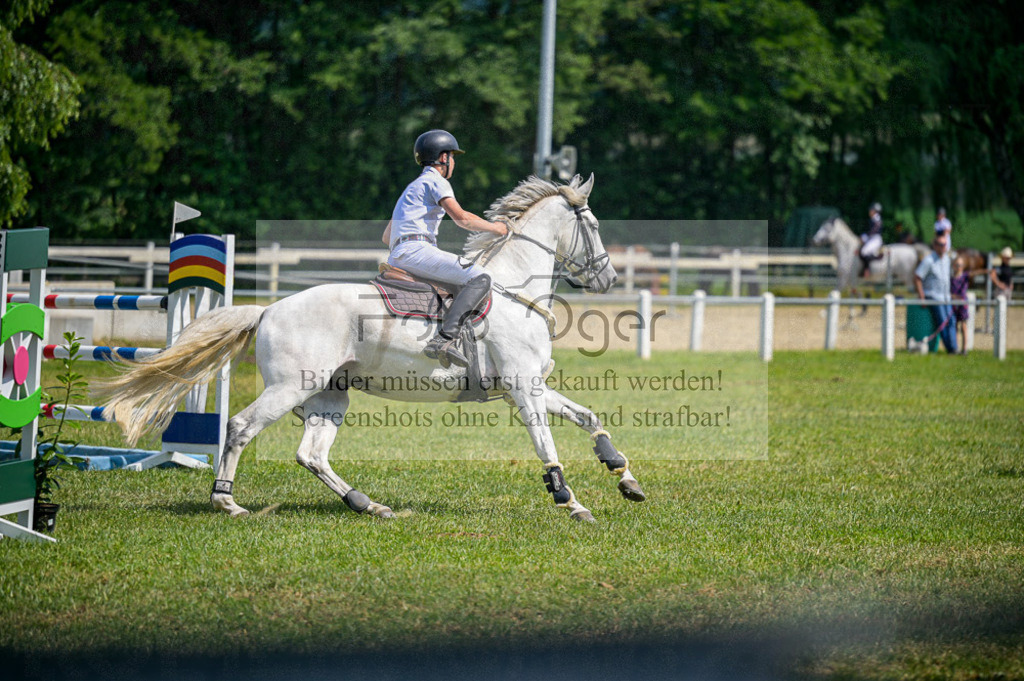 Reitturnier Voxtrup | Entdecke hochwertige Reitturnierfotos von Foto Oger. Professionell, emotional und authentisch – jetzt Lieblingsmomente im Shop bestellen.Deutschlandweite Turnierfotografie. - Realisiert mit Pictrs.com