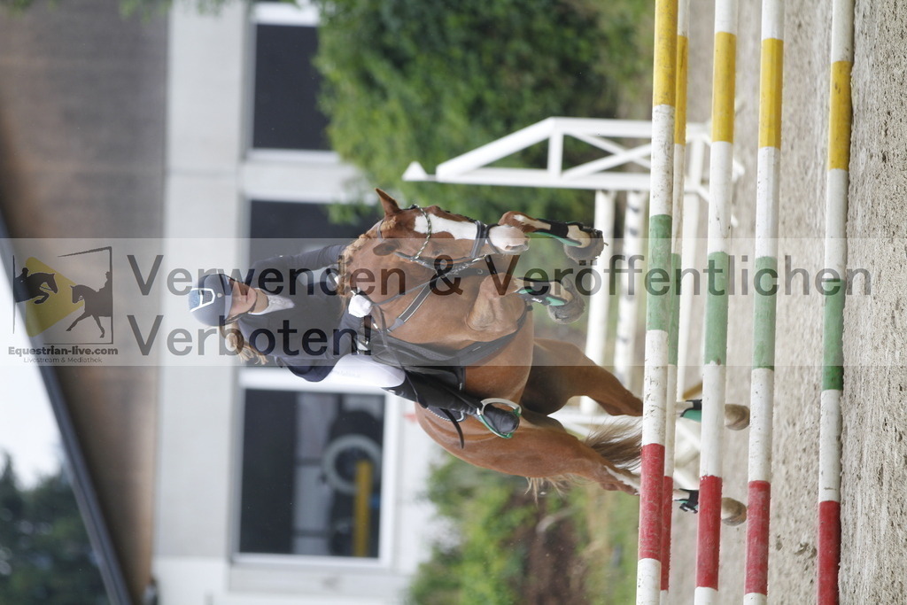 _MG_9737 | equestrian-live-com