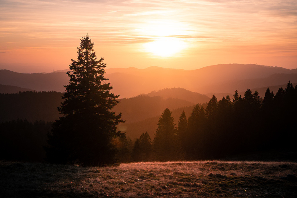 Herbstlicher Hochschwarzwald | Spätherbst im Hochschwarzwald mit Blick vom Herzogenhorn über den Südschwarzwald - Realisiert mit Pictrs.com