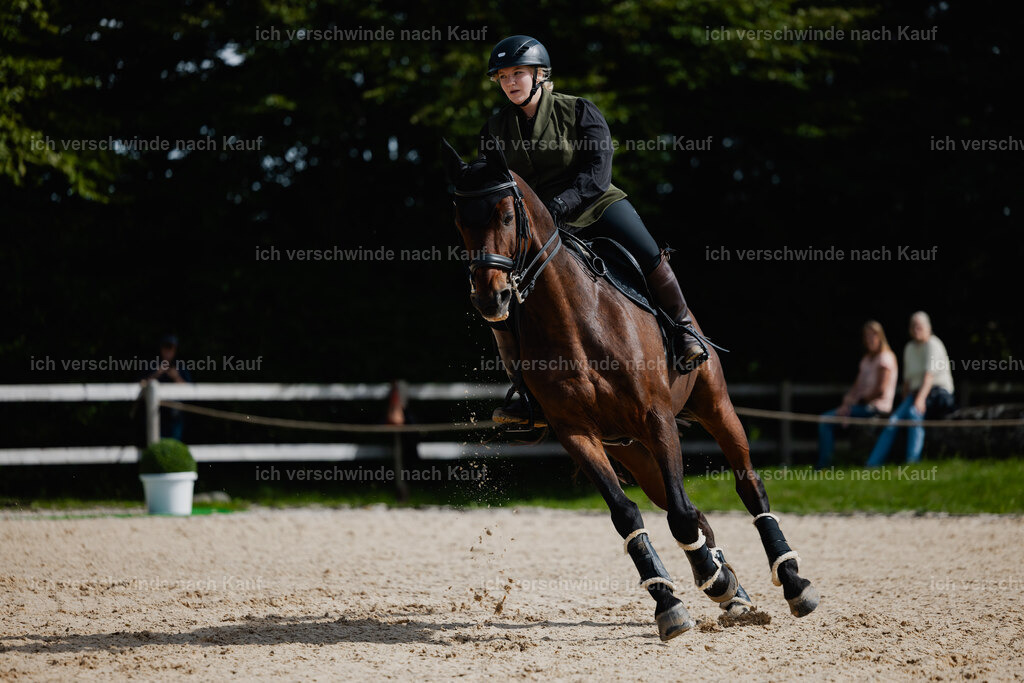 Lara_21_FHC2025-46 | working equitationturnier fotograf videograf stoibphotography marixx film working equitation deutschland reitsport turnierfotografie eventfotografie equestrian events
