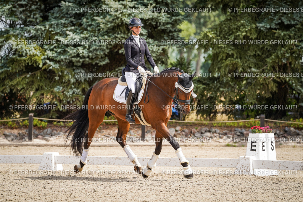 DSC09791 | Pferdegrafie