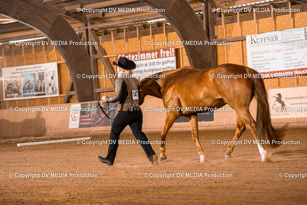 NE100012 | dv-media-shop - Realisiert mit Pictrs.com