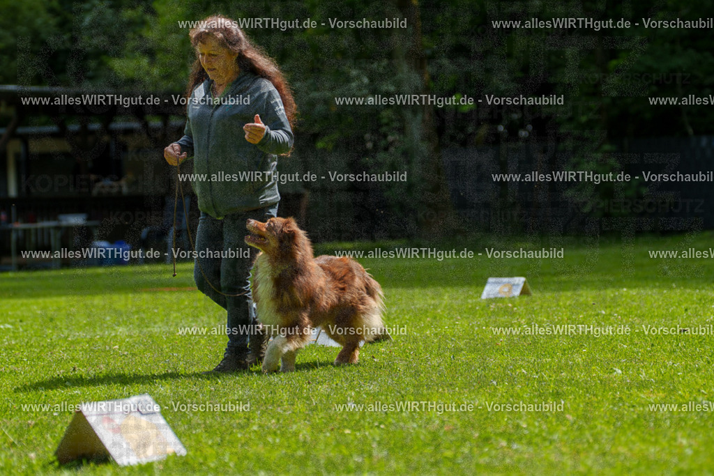 @allesWIRTHgut_Tierfotografie - www.allesWIRTHgut.de - 7R500861 | Professionelle Tierfotografie in Mönchengladbach von Daniel Wirth (allesWIRTHgut). Liebevolle & natürliche Bilder von Hunden & Katzen für unvergessliche Erinnerungen.