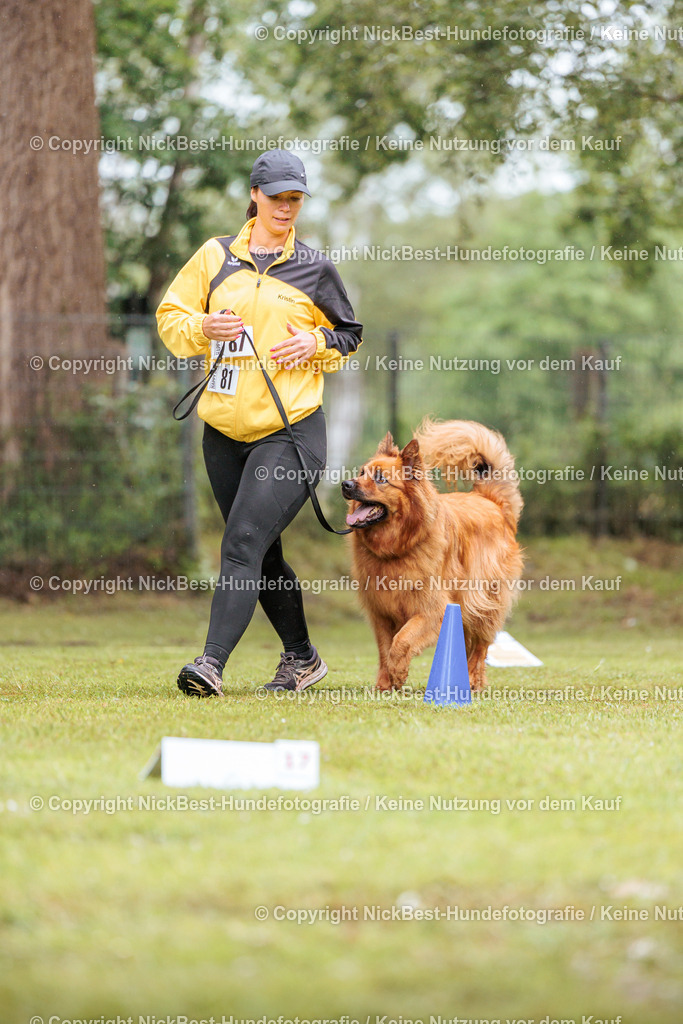 RO-Blumenthal-2026-Nickbest-Hundefotografie-3638 | Dein Hund! Dein Moment! Deine Erinnerungen! Hundefotografie in Bremen Blumenthal. Ich fange die besonderen Momente deines Vierbeiners ein – ob Indoor mit Blitzanlage oder in der freien Natur. Sicher dir dein Moment und dein Termin für eure Erinnerungen.