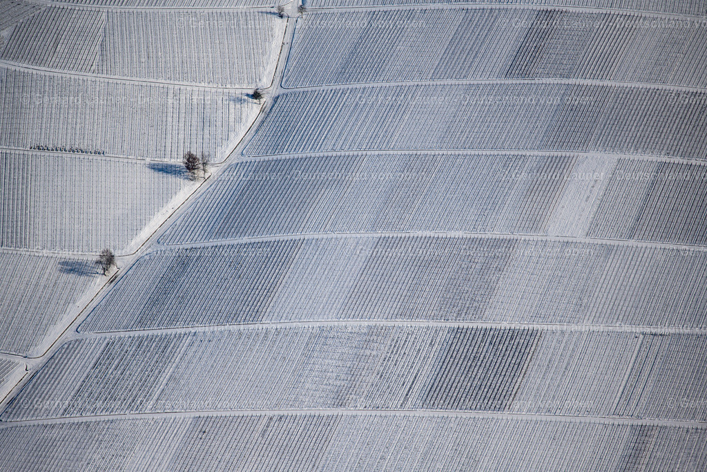 4043272 | winterliche Weinbergstrukturen auf der Weininsel zw. Schwarzach und Nordheim, Weinlage Katzenkopf