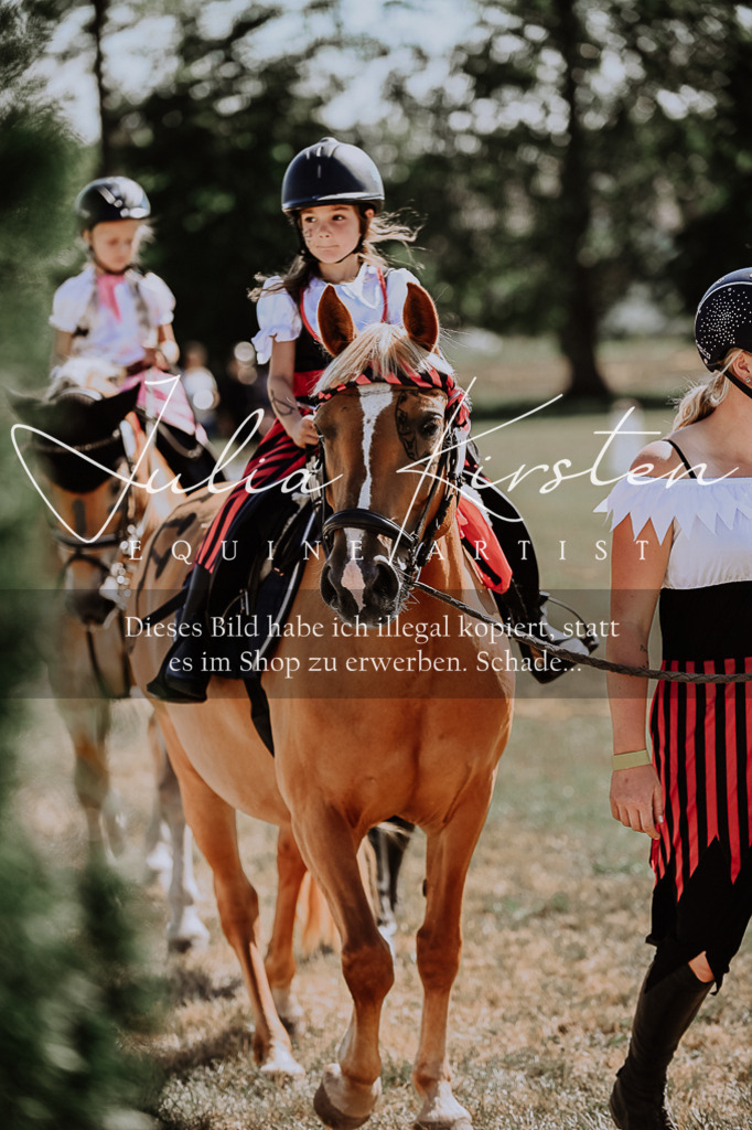 DSC_8988 | Pferde- und Turnierfotografie in Westsachsen. Pferdeportraits, Auftragszeichnungen und intuitive Kunst.