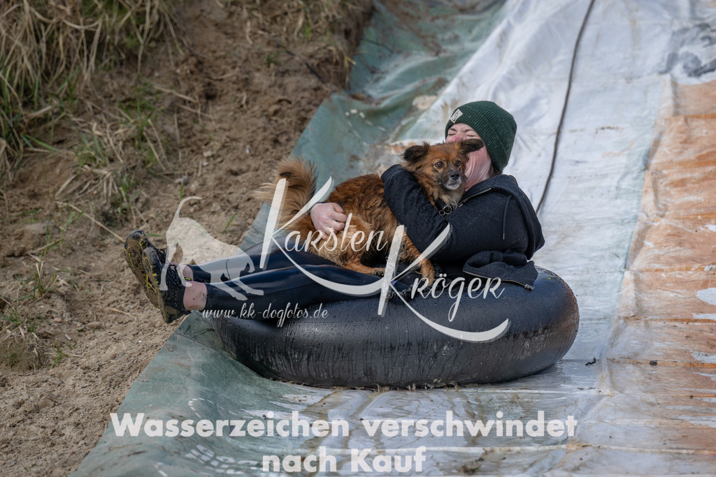 0951_ZZ92374 | kk-dogfotos