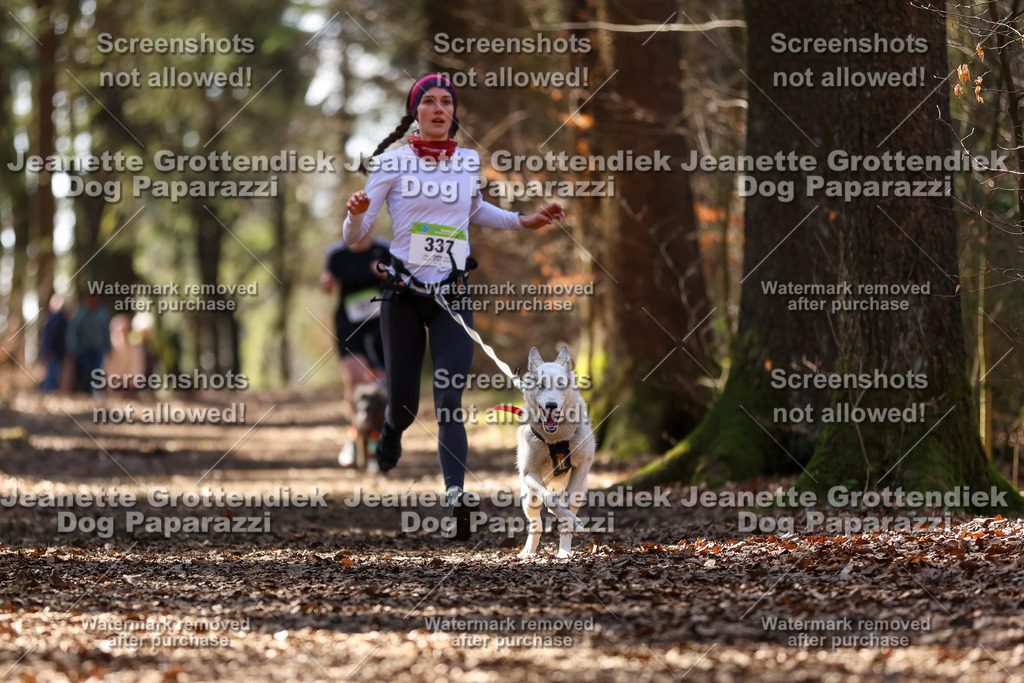 Dog Paparazzi - VCC26-1309 | Dog Paparazzi Jeanette Grottendiek Fotografie & Videografie - Realisiert mit Pictrs.com
