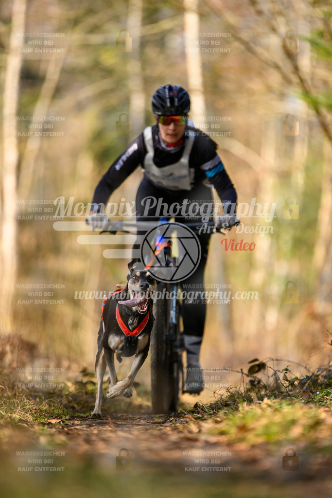 MompixPhotography_6ReiatRennen2026_SO_Bike-55 | PayLife