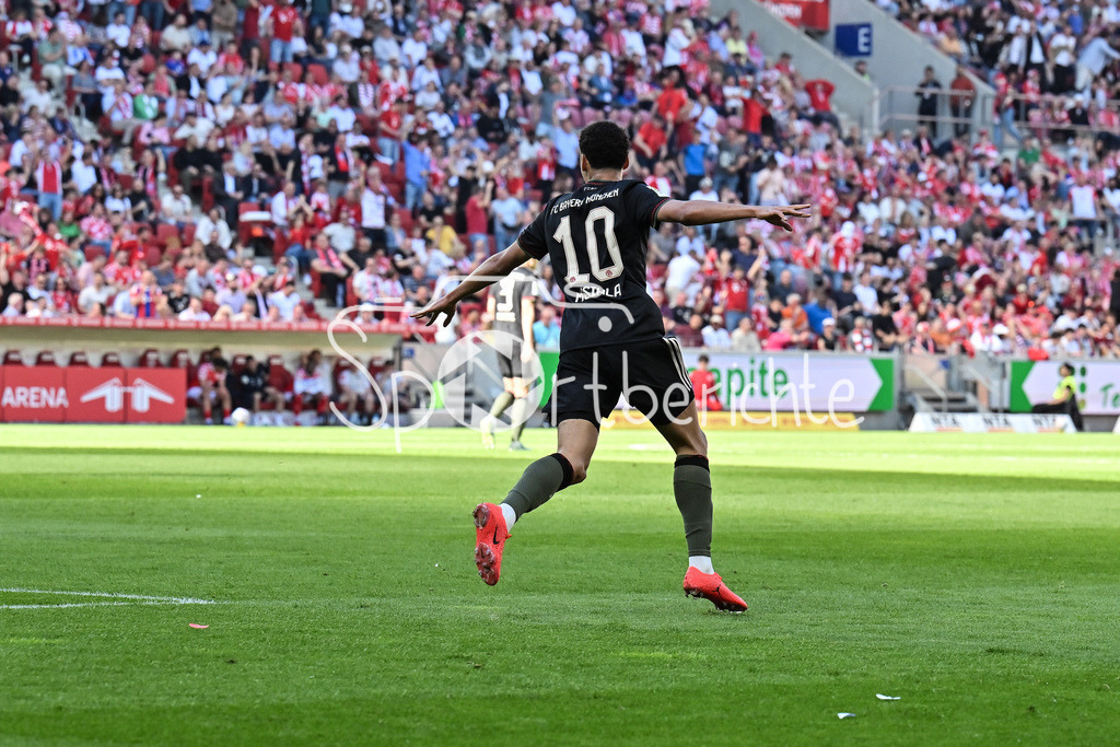 1. FSV Mainz 05 - FC Bayern München | MAINZ, GERMANY - 25. APRIL: Jubel der Bayern nach dem Treffer zum 3-3 Ausgleich durch Jamal MUSIALA (FC Bayern Munich 10) / Tor / Torschuetze / Freude / Happy während dem Bundesligamatch zwischen dem 1. FSV Mainz 05 und dem FC Bayern München am 31. Spieltag in der MEWA Arena / DFL REGULATIONS PROHIBIT ANY USE OF PHOTOGRAPHS AS IMAGE SEQUENCES AND/OR QUASI-VIDEO