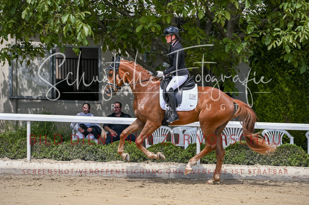 Schugtsche-Aluta25-48.Reitpferfdeprf.-292 | Schugtsche Fotografie - Realisiert mit Pictrs.com