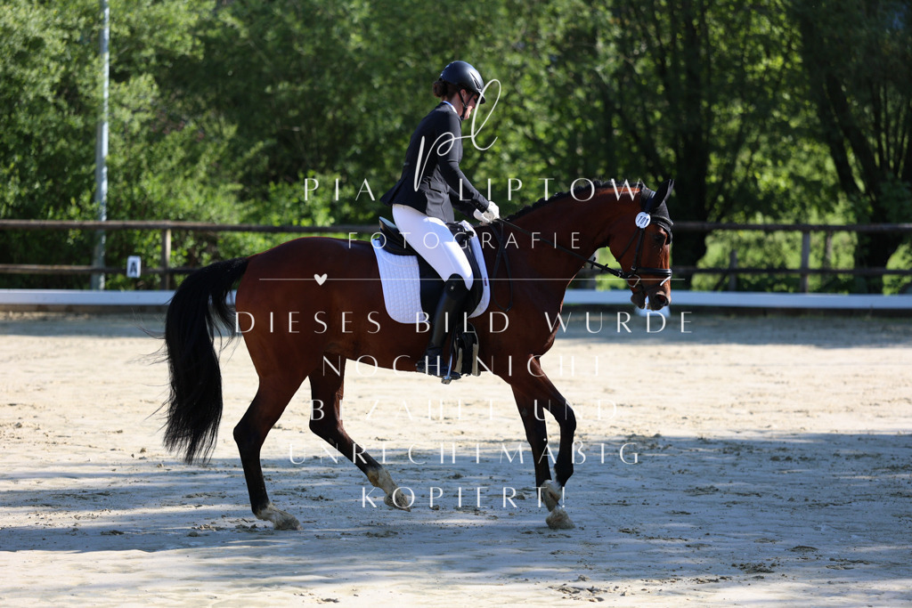 IMGT2710 | pl-fotografie