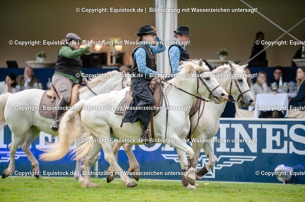 20250606_Lange-Pferdenacht_0655 | Foto: Thomas Hartig